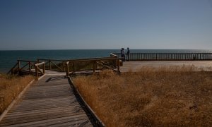 La pasarela de Cuesta Maneli en el Espacio Natural de Doñana. (Almonte, Huelva). E.P.