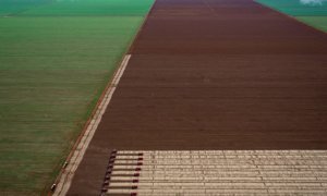 Un convoy de cosechadoras avanza en un campo de cultivo de Campo Novo do Parecis, Brasil.