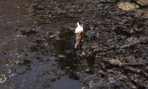 Continúan las labores de limpieza del derrame de petróleo.