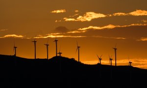 Proyectos que suman más de 600 aerogeneradores y cientos de kilómetros de líneas eléctricas amenazan con cerrar los flancos sur y oeste de la reserva de Bardenas.