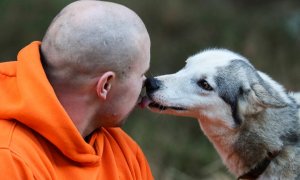 Un perro besa a su dueño.