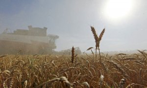 07/03/2022. Una cosechadora de trigo en la región de Stavropol, Rusia, a 07/07/2016.