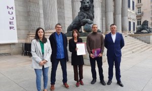 Los diputados de Unidas Podemos Isabel Franco (Sevilla), Pedro Honrubia (Granada), Martina Velarde, Miguel Ángel Bustamante (Sevilla) y Juan Antonio Delgado (Cádiz).