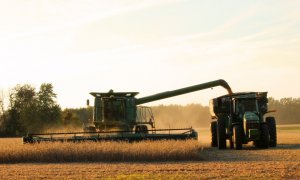 La agricultura española resulta claramente insuficiente para alimentar a la cabaña ganadera del país.