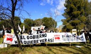 (06/02/2015) Manifestación de AVITE en 2015 (ARCHIVO)