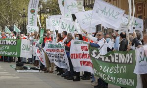 (28/03/2022) Concentración de sanitarios de atención primaria en Sevilla el pasado lunes.