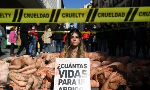 Varias chicas desnudas con pintura roja sobre el cuerpo, con una pancarta que reza '¿Cuántas vidas para un abrigo?' en la protesta contra la industria peletera ‘Sin Piel 2022’, en la calle Preciados, a 13 de marzo de 2022, en Madrid (España).