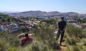 07/04/2022 - Els pastors Daniel i Pau amb el ramat d'ovelles i cabres que ha començat a pasturar pel costat barceloní de Collserola.