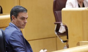 El presidente del Gobierno, Pedro Sánchez, durante la sesión de control del Senado, este martes en Madrid.