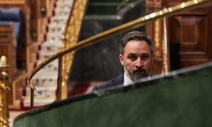 El líder de Vox, Santiago Abascal, durante la sesión plenaria del Congreso de los Diputados celebrada este martes en Madrid