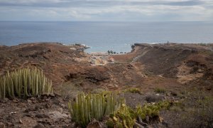 Ejemplares del tabaibal-cardonal próximos al Puertito de Adeje