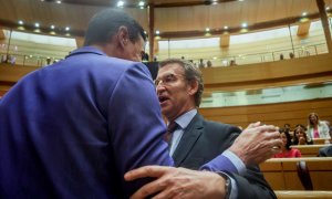 Sánchez y Feijóo en el Senado