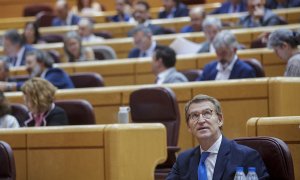 El presidente del Partido Popular, Alberto Núñez Feijóo, en el Pleno del Senado. EFE/Miguel Osés