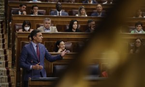 22/06/2022.- El presidente del Gobierno, Pedro Sánchez durante la sesión de control al Gobierno en el Congreso de los diputados este miércoles. EFE/ Emilio Naranjo