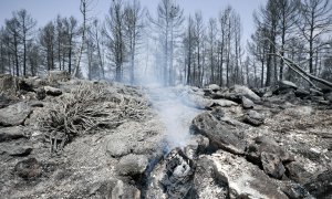 Trabajos de extinción del incendio declarado el domingo en Venta del Moro, en València, a 5 de julio de 2022.