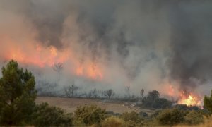 15/07/22. Llamas del incendio de Monsagro en Salamanca, a 15 de julio de 2022.