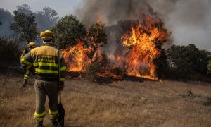 (18/7/22) Varios bomberos trabajan en la extinción del fuego del incendio de Losacio, a 18 de julio de 2022, en Pumarejo de Tera, Zamora, Castilla y León (España).