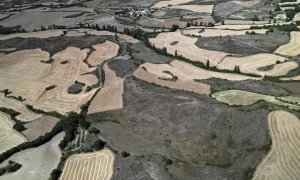 09/08/2022-Aspecto que presenta una zona de Tierra Estella donde se aprecia la situación en la que se encuentra el campo en Alloz, Navarra, el 9 de agosto