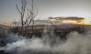 La lluvia caída durante esta madrugada en el entorno del incendio forestal de Bejís, en la comarca castellonense del Alto Palancia, ha reducido la llama hasta casi desaparecer en todo el perímetro.