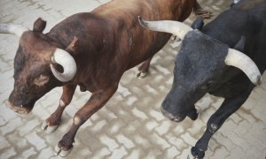 14/7/22 Toros durante el último encierro de las Fiestas de San Fermín, donde la tauromaquia también está muy presente, a 14 de julio de 2022