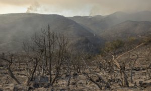 Paraje calcinado en Bejís (Castelló).