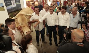 El presidente del PP, Alberto Núñez Feijóo; el presidente de Castilla y León, Alfonso Fernández Mañueco y el presidente de la Diputación de Salamanca, Javier Iglesias, con una vaca durante su visita a la Feria agropecuaria de Salamanca, a 5 de septiembre