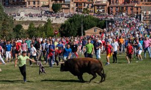 Imagen de archivo del Toro de la Vega en Tordesillas.