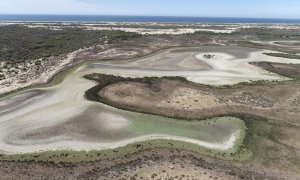 La laguna de Santa Olalla, la laguna permanente más grande de Doñana y la última que ha mantenido agua en agosto, a 3 de septiembre de 2022.