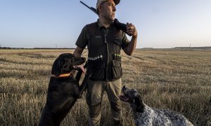 Un cazador, durante una jornada de caza el primer día de inicio de la media veda en Castilla y León, en Olmedo.