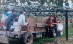 Familiares y amigos de Lino Plaza en plantaciones de Elizondo.