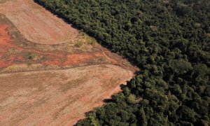 vista aérea que muestra la deforestación cerca de un bosque en la frontera entre la Amazonia y Cerrado en Nova Xavantina, estado de Mato Grosso, Brasil, 28 de julio de 2021.