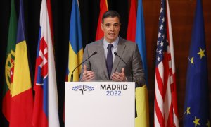 21/11/2022.- El presidente del Gobierno, Pedro Sánchez, interviene de la sesión plenaria de la 68 Asamblea parlamentaria de la OTAN que se celebra en Madrid y en la que participan el secretario general de la organización, Jens Stoltenberg, y, por vía tele