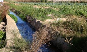 22/11/2022 - Canal de reg al riu Llobregat.