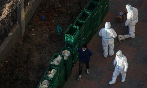 Trabajadores voluntarios pasean perros para los residentes fuera de un edificio de la Unidad con casos confirmados en Beijing, China