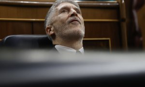 El ministro del Interior, Fernando Grande-Marlaska, durante la sesión de control al Gobierno, en el Congreso. EFE/ JUAN CARLOS HIDALGO