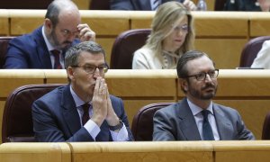 El líder del Partido Popular, Alberto Núñez Feijóo, junto al senador del PP Javier Maroto durante el pleno celebrado el 12 de diciembre de 2022.