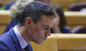 El presidente del Gobierno, Pedro Sánchez durante el pleno del Senado, este miércoles en Madrid .