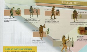 Esquema de la evolución de la especie humana en un libro de la ESO de la editorial Anaya, que muestra la imagen más desarrollada en un hombre de raza blanca frente a especies menos desarrolladas de piel más oscura.