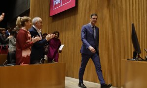 El presidente del Gobierno, Pedro Sánchez, aplaudido a su llegada a la reunión mantenida este martes en el Congreso con diputados y senadores socialistas