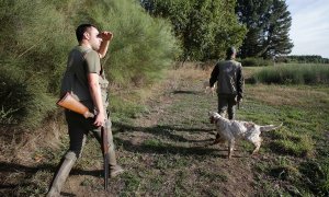 Dos cazadores caminan con sus perros en busca de caza menor en Vilela, Outeiro de Rei, Lugo, Galicia, (España).