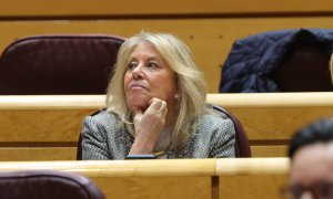 La alcaldesa de Marbella, Ángeles Muñoz, durante una sesión de control al Gobierno en el Senado el pasado 21 de diciembre de 2022.