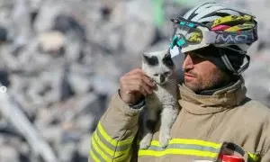 Imagen de Enkaz, el gato que fue rescatado de los escombros del terremoto en Turquía, junto al bombero que lo rescató.