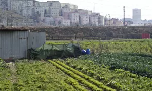 L'horta de la finca de La Ponderosa, a Vallbona.