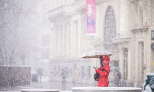 Nieve en Vitoria