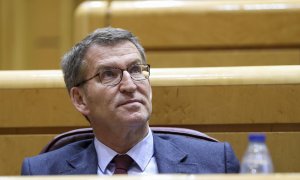 El líder del PP, Alberto Núñez Feijoo, durante la sesión de control al Gobierno en el pleno del Senado, este martes