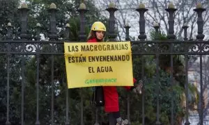 Greenpeace