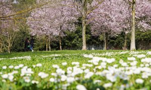 Para este primer fin de semana de la primavera se espera un clima estable aunque las temperaturas bajarán a partir del domingo