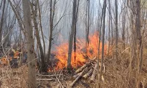 23/03/2023 - Incendi d'aquesta setmana a l'Estany d'Ivars i Vila-Sana, al Pla d'Urgell.