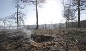 25/03/2023. Bosque arrasado por el incendio en la zona de los Peiros, en la provincia de Teruel, a 25 de marzo de 2023.