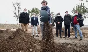 El alcalde de Madrid, José Luis Martínez-Almeida, planta un árbol en enero de 2021 en el Parque Central de Valdebebas.